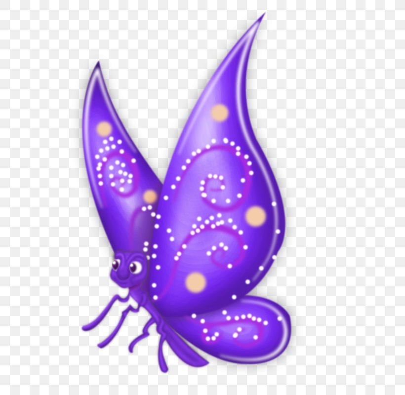 Butterfly Drawing Animaatio Cartoon, PNG, 800x800px, Butterfly, Animaatio, Butterflies And Moths, Cartoon, Color Download Free