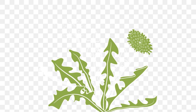 Dandelion Plant Stem Leaf Clip Art, PNG, 500x470px, Dandelion, Branch, Digestion, Flora, Flower Download Free
