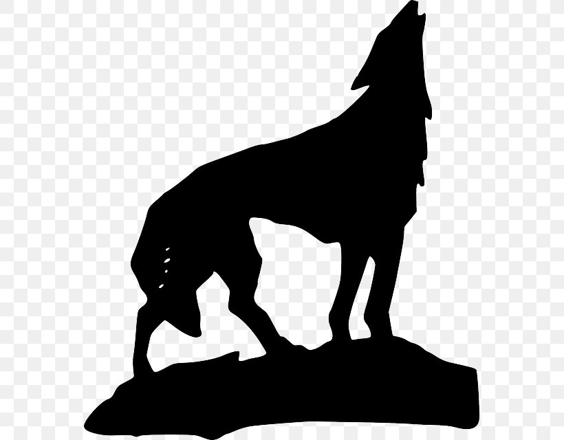 Gray Wolf Aullido Drawing Clip Art, PNG, 575x640px, Gray Wolf, Aullido, Black, Black And White, Canidae Download Free