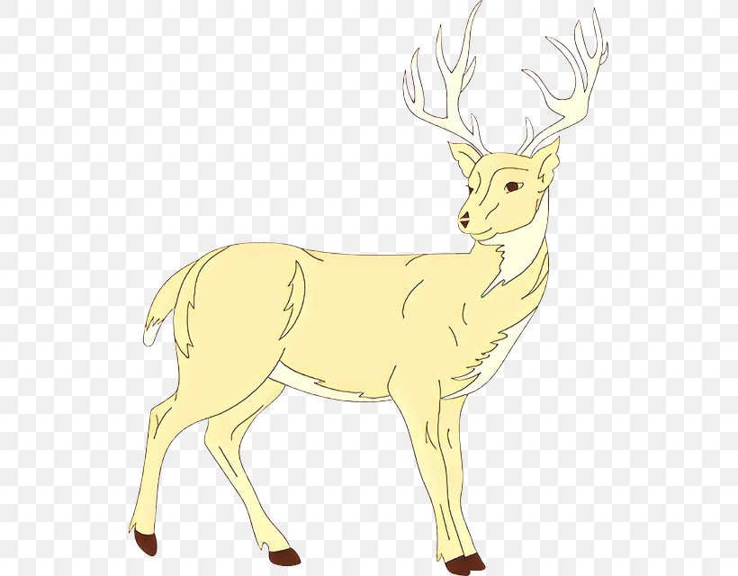 Reindeer, PNG, 533x640px, Cartoon, Antler, Deer, Elk, Horn Download Free