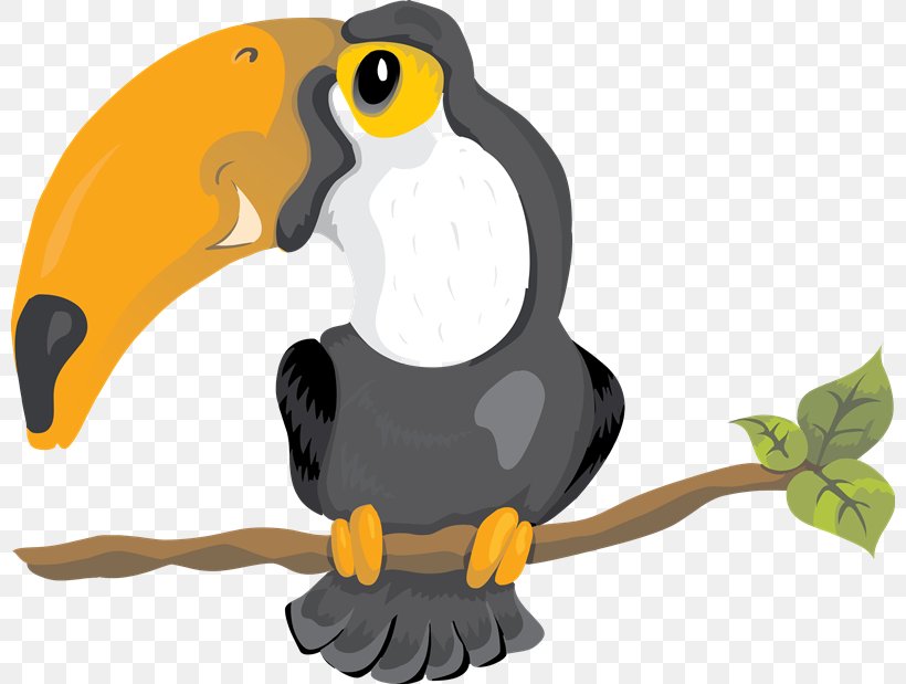Bird Toucan Clip Art, PNG, 800x619px, Bird, Animal, Beak, Fauna, Organism Download Free