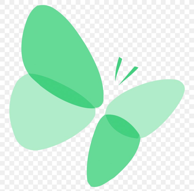 Butterfly, PNG, 800x807px, Butterfly, Green, Insect, Invertebrate, Leaf Download Free