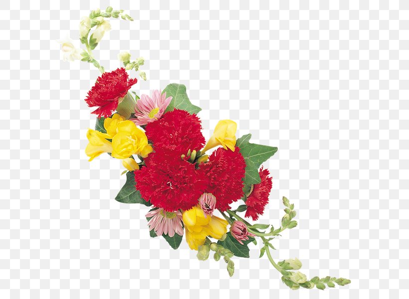 Floral Design Carnation Cut Flowers Rose, PNG, 600x600px, Floral Design, Annual Plant, Artificial Flower, Birth Flower, Carnation Download Free