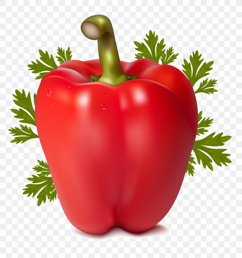 Pepper, PNG, 2807x3000px, Bell Pepper, Animation, Bell Peppers And Chili Peppers, Bush Tomato, Capsicum Annuum Download Free