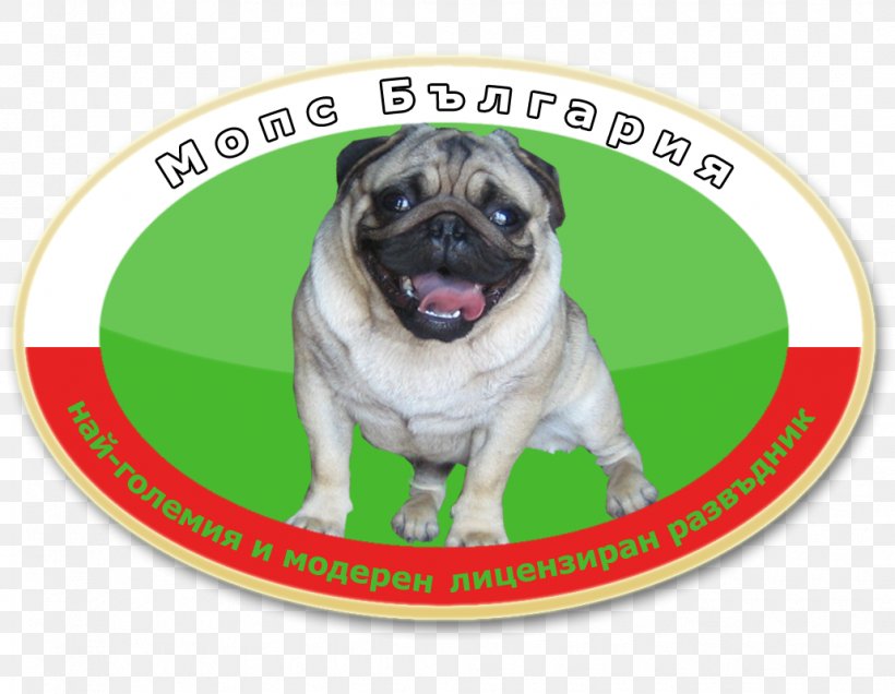 Pug Puppy Dog Breed Toy Dog Snout, PNG, 1030x800px, Pug, Animal, Breed, Carnivoran, Dog Download Free
