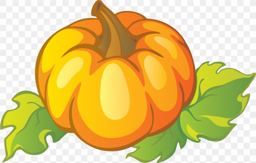Pumpkin Cucurbita Vegetable Gourd Clip Art, PNG, 2489x1594px, Pumpkin, Calabaza, Cartoon, Cucurbita, Flower Download Free