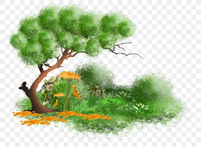 Daytime Animation Morning, PNG, 788x600px, Daytime, Animation, Avatar, Biome, Branch Download Free