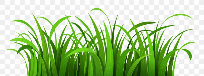 Lawn Clip Art, PNG, 5700x2135px, Lawn, Animation, Blog, Chrysopogon Zizanioides, Commodity Download Free