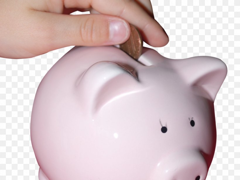 Piggy Bank Savings Bank Money, PNG, 1024x768px, Piggy Bank, Bank, Banknote, Cash, Coin Download Free