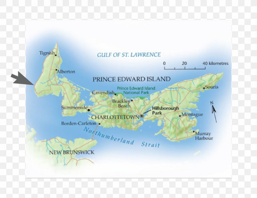 Prince Edward Island National Park Map Geography Of Prince Edward Island Anne Of Green Gables, PNG, 1056x816px, Map, Anne Of Green Gables, Area, Atlas, Blank Map Download Free