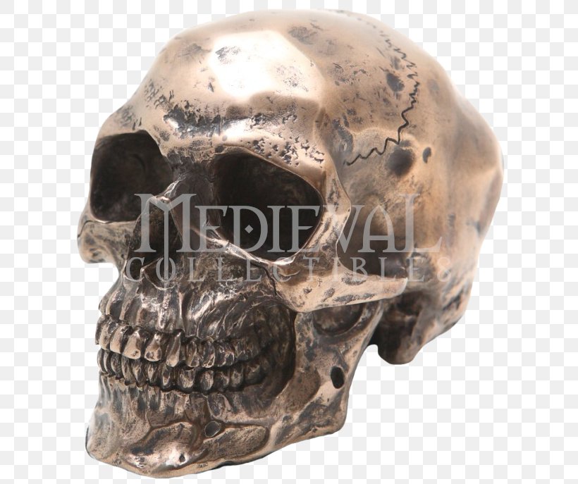 Skull Human Skeleton Resin Figurine, PNG, 687x687px, Skull, Bone, Bronze, Bronze Sculpture, Collectable Download Free