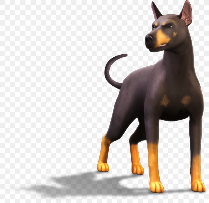 The Sims 3: Pets The Sims 2: Pets Manchester Terrier The Sims 4: Cats & Dogs Miniature Pinscher, PNG, 2843x2759px, Sims 3 Pets, Ancient Dog Breeds, Carnivoran, Dobermann, Dog Download Free