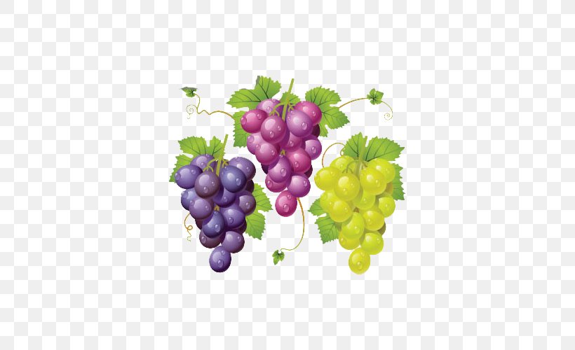Wine Common Grape Vine La Cure De Raisin Clip Art, PNG, 500x500px, Wine, Common Grape Vine, Drawing, Flowering Plant, Food Download Free