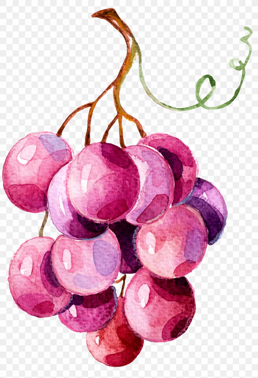 Grape Stock Photography Royalty-free Illustration, PNG, 2124x3120px, Grape, Cherry, Drawing, Flowering Plant, Food Download Free