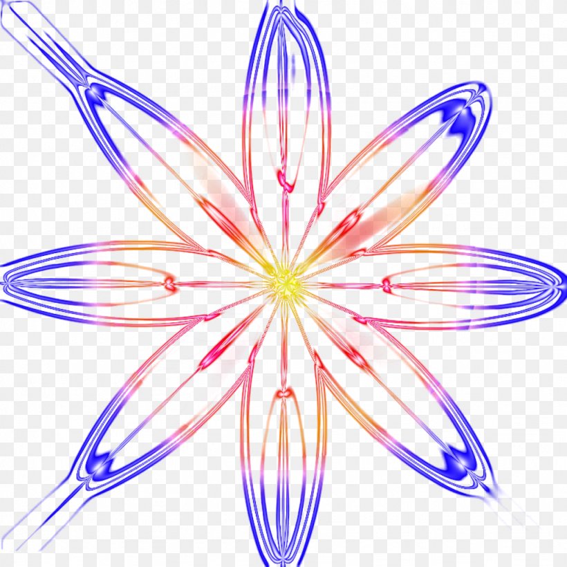 Light Petal Luminous Efficacy Flower, PNG, 1024x1024px, Light, Energy Conversion Efficiency, Flora, Flower, Flowering Plant Download Free