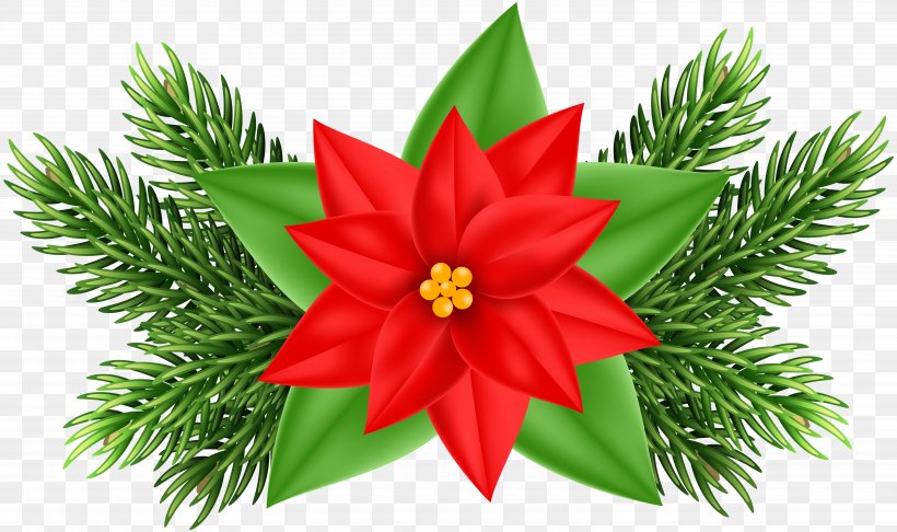 Christmas Ornament Poinsettia Christmas Tree Clip Art, PNG, 6000x3560px, Christmas Ornament, Christmas, Christmas Decoration, Christmas Tree, Conifer Download Free