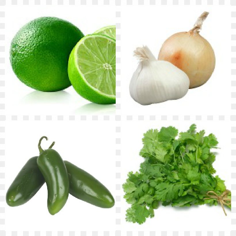Coriander Indian Cuisine Organic Food Thai Cuisine Herb, PNG, 1024x1024px, Coriander, Citrus, Common Sage, Diet Food, Flavor Download Free