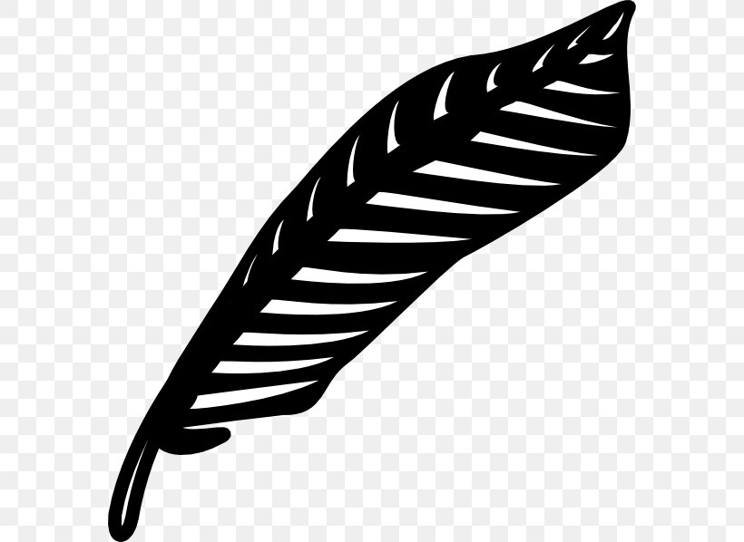 Feather Quill Bird Clip Art, PNG, 582x598px, Feather, Bird, Black, Black And White, Blog Download Free