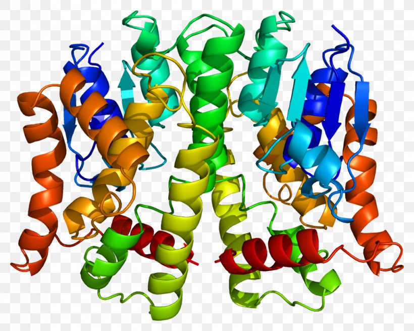 Glutathione S-transferase Mu 1 GSTT2 GSTT1, PNG, 1019x815px, Glutathione Stransferase, Amino Acid, Art, Artwork, Biochemistry Download Free