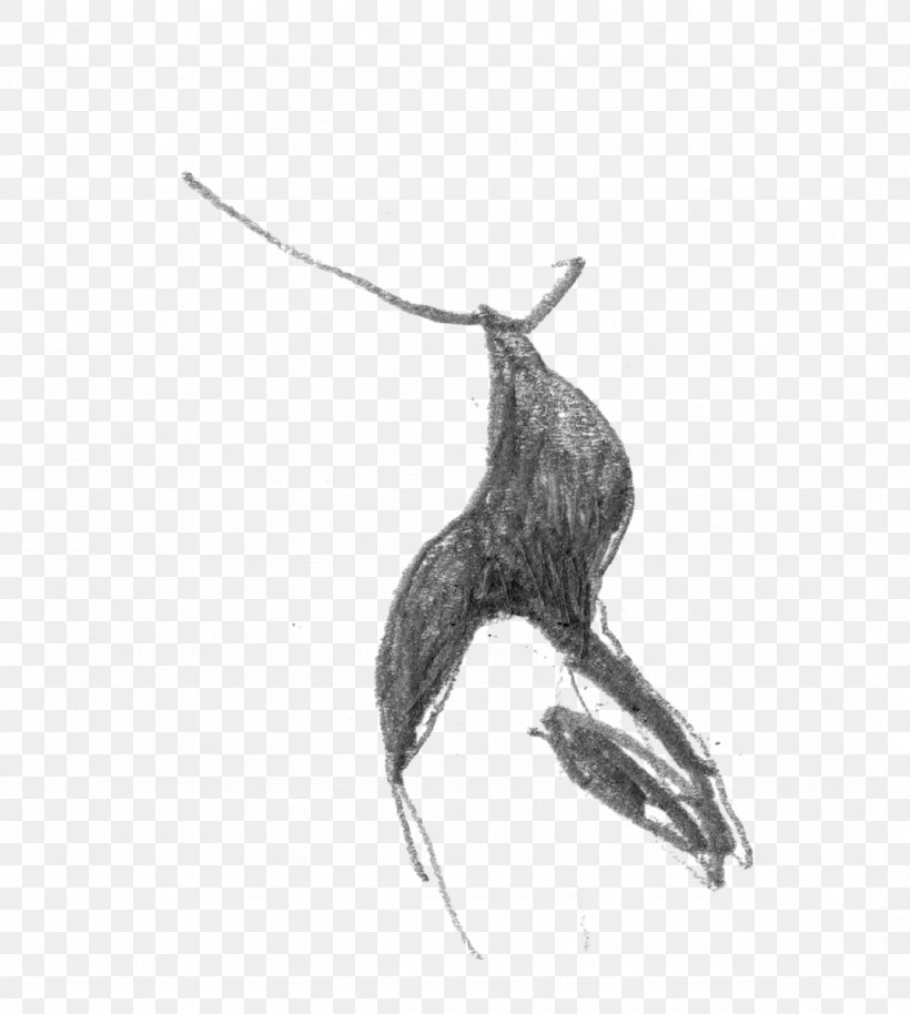 /m/02csf Beak Drawing Nest Feather, PNG, 1076x1200px, Beak, Bird, Black And White, Cumbrera, Drawing Download Free