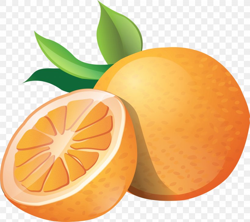 Orange Clip Art, PNG, 3239x2880px, Orange, Citric Acid, Citrus, Food, Fruit Download Free