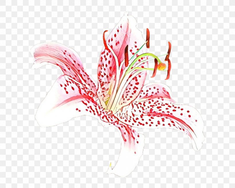 Plant Pink Flower Graphic Design Stargazer Lily, PNG, 900x720px, Cartoon, Flower, Pink, Plant, Stargazer Lily Download Free