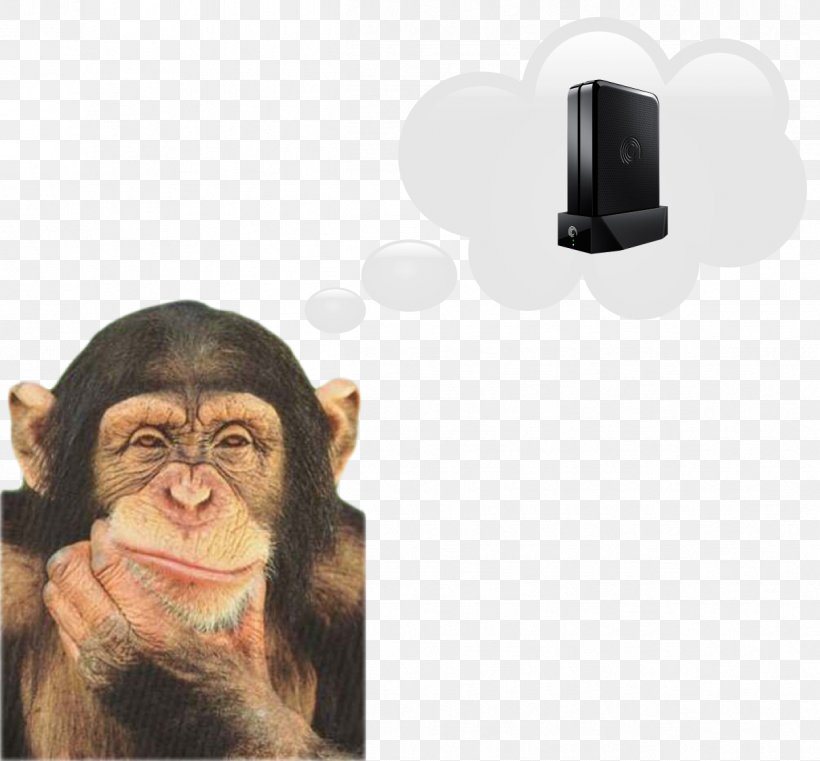 Chimpanzee Monkey Ape Japanese Macaque, PNG, 1209x1123px, Chimpanzee, Ape, Common Chimpanzee, Ear, Facebook Download Free