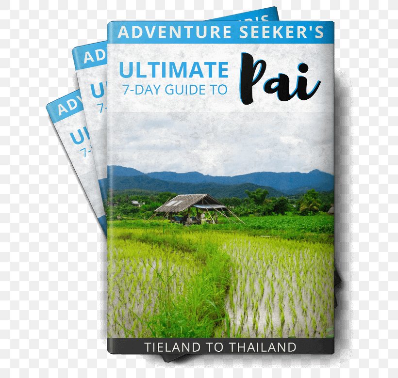 Ko Chang District Pai Thai Cuisine Trekking Rafting, PNG, 700x780px, Ko Chang District, Advertising, Beach, Brand, Ecosystem Download Free