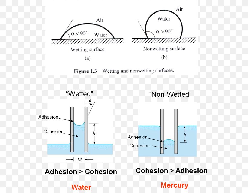 Line Angle, PNG, 585x640px, Diagram, Area, Joint, Structure, Text Download Free