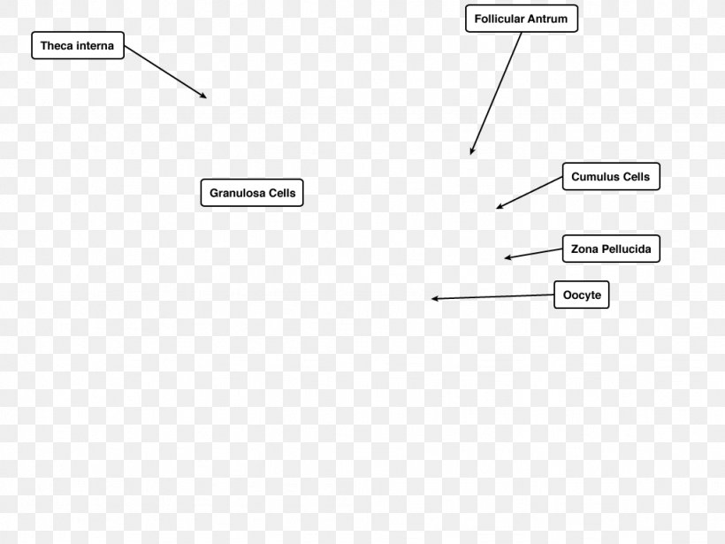 Product Design Document Line Brand, PNG, 1024x768px, Document, Area, Brand, Design M Group, Diagram Download Free