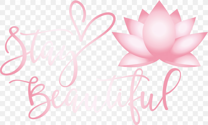 Stay Beautiful Fashion, PNG, 3000x1814px, Stay Beautiful, Biology, Fashion, Floral Design, Flower Download Free