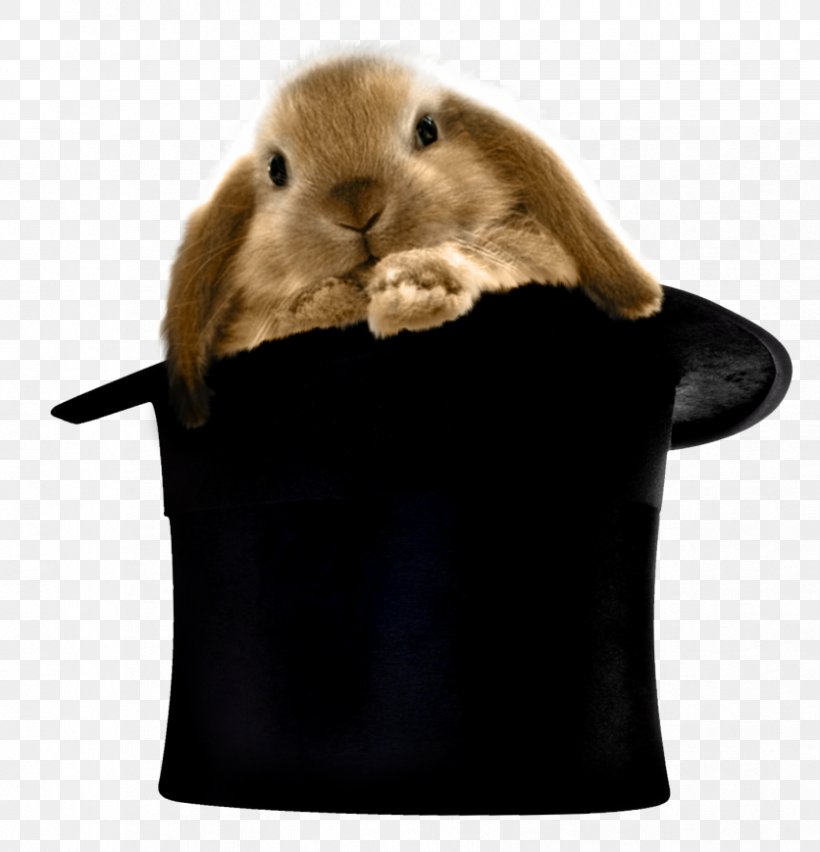 The Magic Hats Rabbit Top Hat Clip Art, PNG, 836x869px, Magic Hats, Clothing, Domestic Rabbit, Fur, Hare Download Free