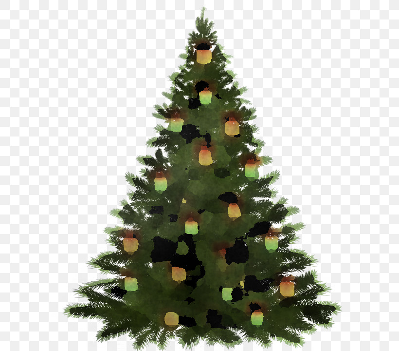 Christmas Tree, PNG, 650x720px, Christmas Tree, American Larch, Balsam Fir, Branch, Canadian Fir Download Free
