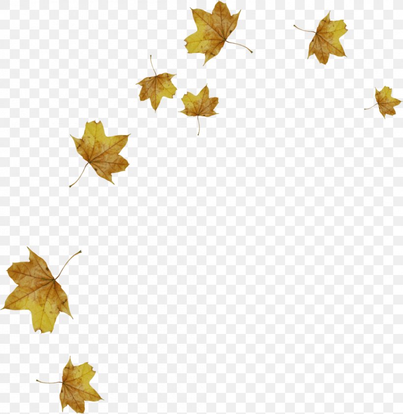 Light Leaf Autumn, PNG, 996x1024px, Light, Autocad Dxf, Autumn, Branch, Flowering Plant Download Free