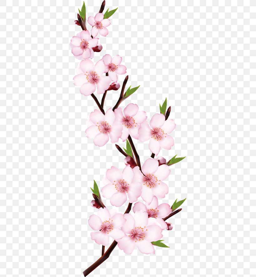 Peach Flower Shoot, PNG, 375x888px, Peach, Blossom, Branch, Cherry Blossom, Floral Design Download Free