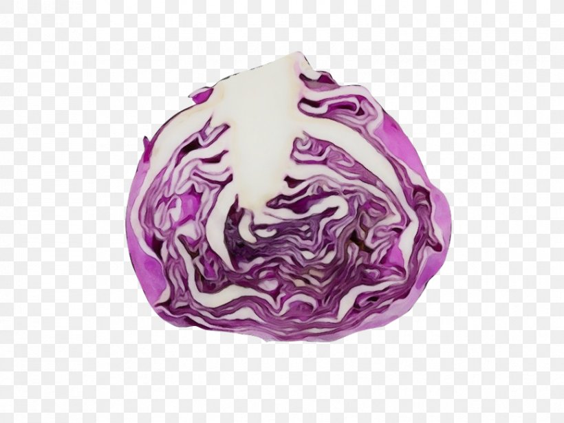 Violet Purple Cabbage Vegetable Red Cabbage, PNG, 866x650px, Watercolor, Cabbage, Magenta, Paint, Purple Download Free