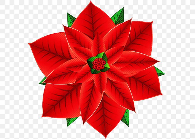 Christmas Decoration, PNG, 587x584px, Poinsettia, Art Paper, Christmas Decoration, Flower, Holly Download Free