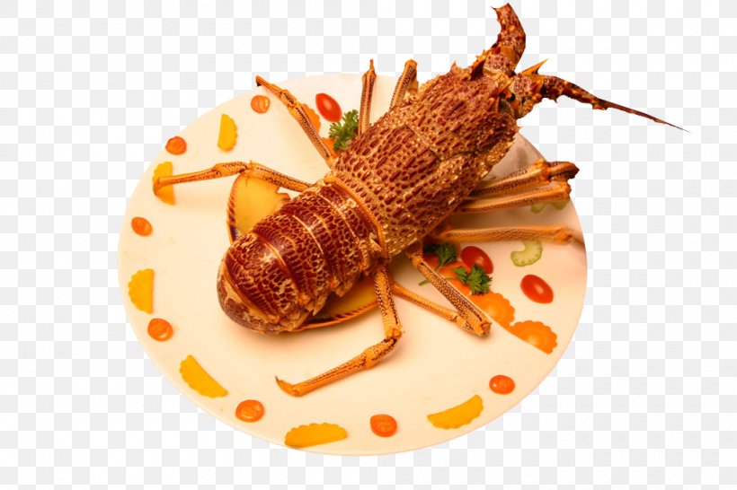 Lobster Seafood Decapoda Palinurus Elephas Dish, PNG, 1000x666px, Lobster, Animal Source Foods, Arthropod, Decapoda, Dish Download Free