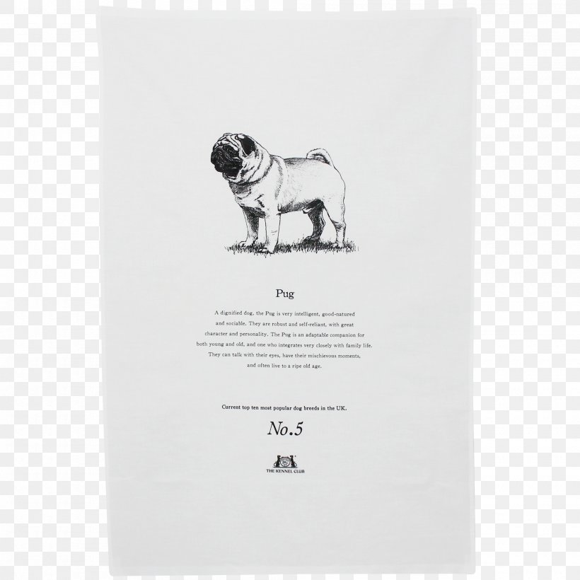 Pug Dog Breed Toy Dog The Kennel Club Crufts, PNG, 2000x2000px, Pug, Apron, Breed, Carnivoran, Chef Download Free