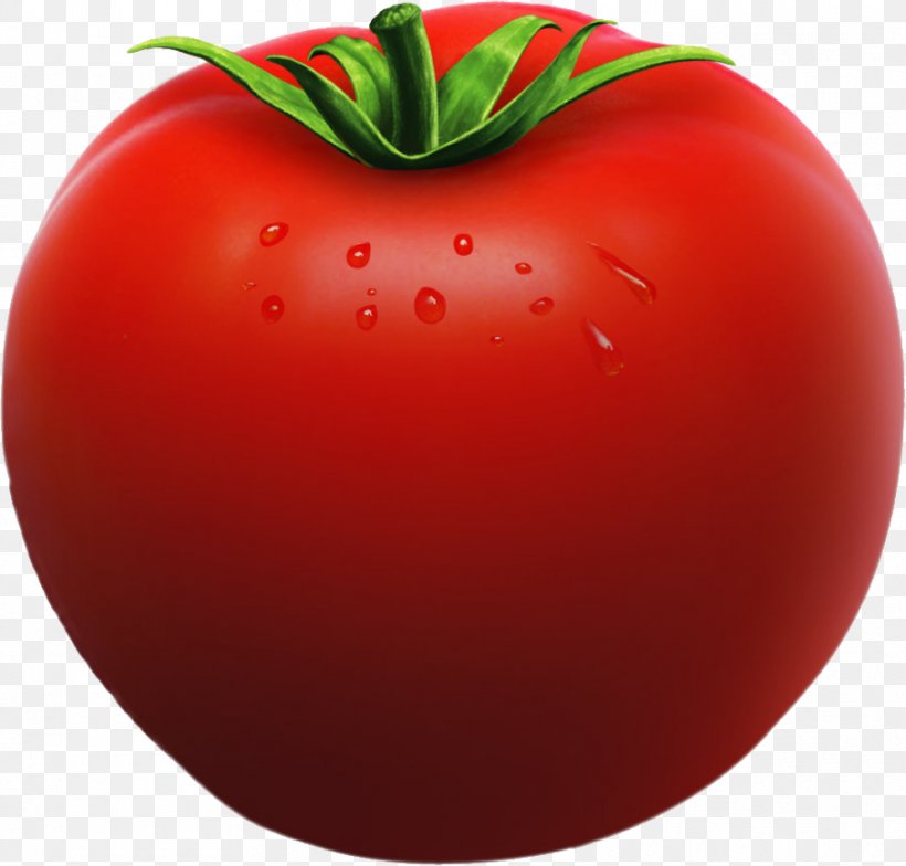 Tomato Vegetable Clip Art, PNG, 908x869px, Organic Food, Apple, Bean, Bell Pepper, Bush Tomato Download Free