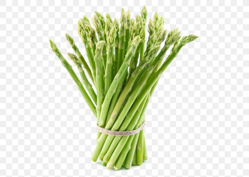 Asparagus Mary Washington Vegetarian Cuisine Vegetable Asparagus Roots, PNG, 600x585px, Asparagus, Commodity, Cooking, Fennel, Food Download Free