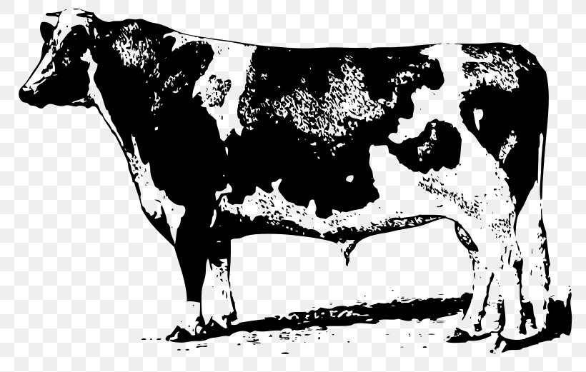 Beef Cattle Jersey Cattle Clip Art, PNG, 800x521px, Beef Cattle, Black And White, Bull, Cattle, Cattle Like Mammal Download Free