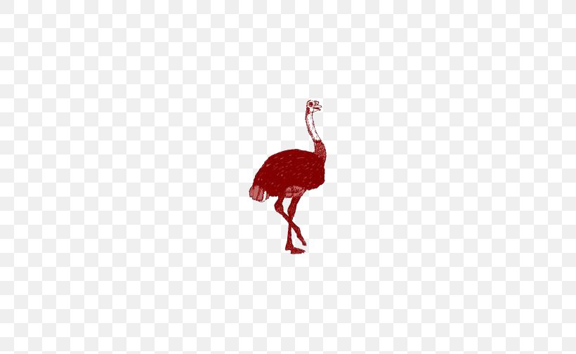 Flightless Bird Red Beak Pattern, PNG, 636x504px, Bird, Beak, Flamingo, Flightless Bird, Pink Download Free