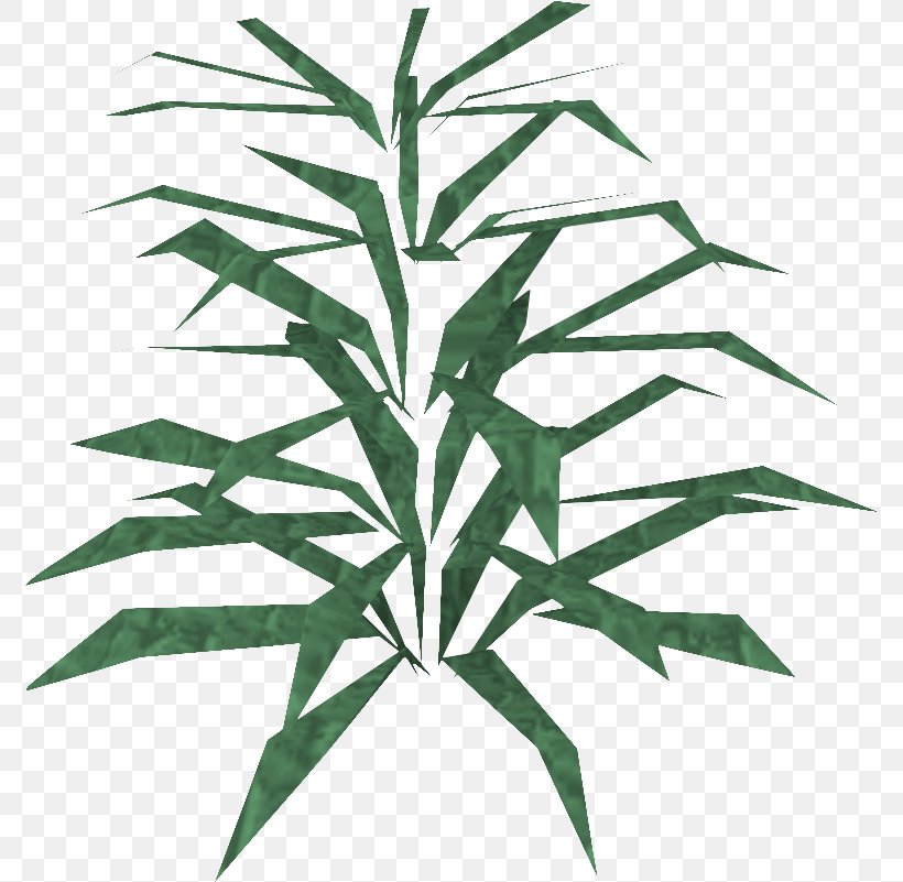RuneScape Rosemary Plant Disease Agriculture Cabbage, PNG, 774x801px, Runescape, Agriculture, Cabbage, Cultivar, Disease Download Free