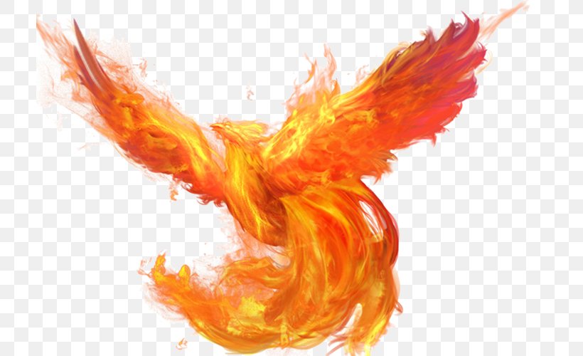 U5927u5929u4f7fu4e4bu5251 Flame Fire Download, PNG, 718x500px, Flame, Beak, Client, Fire, Orange Download Free