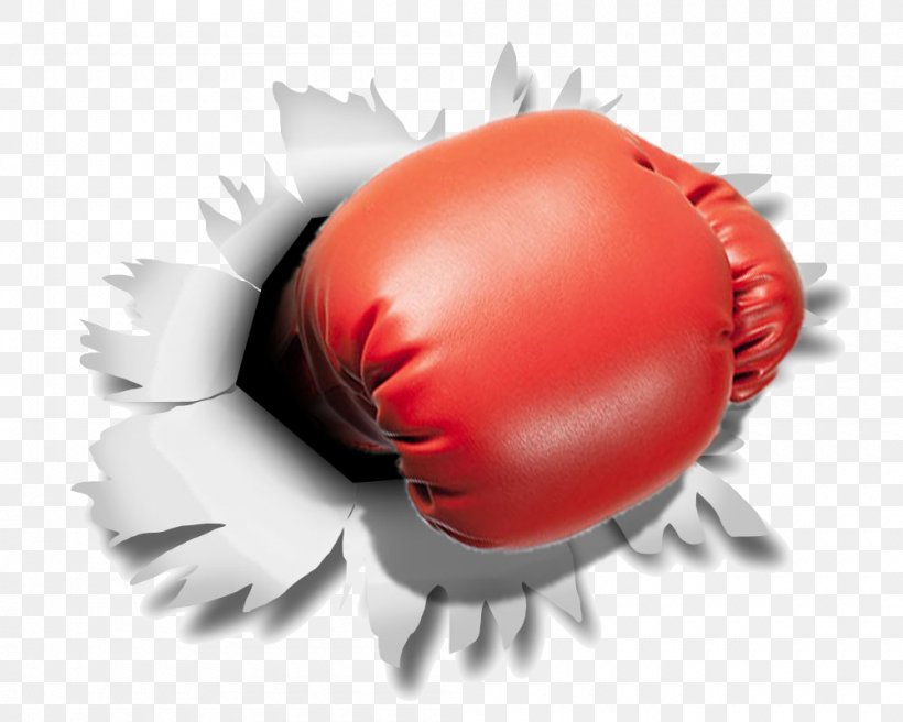 Boxing Glove Punching & Training Bags, PNG, 1000x800px, Boxing Glove, Bareknuckle Boxing, Boxing, Cross, Glove Download Free
