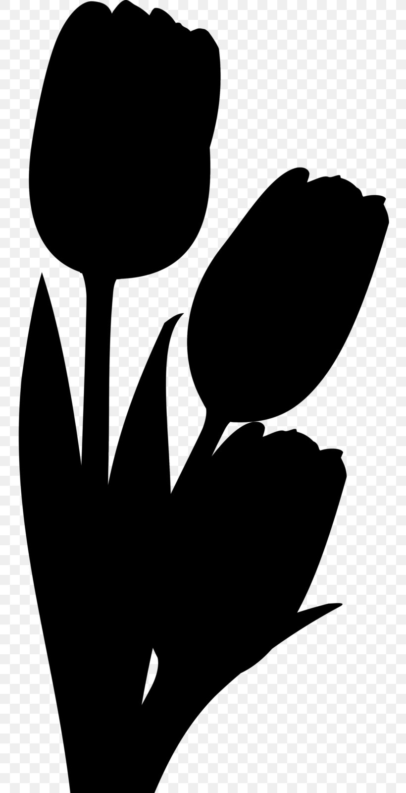 Clam Chowder Clip Art Silhouette Black, PNG, 753x1600px, Clam Chowder, Black, Blackandwhite, Botany, Clam Download Free