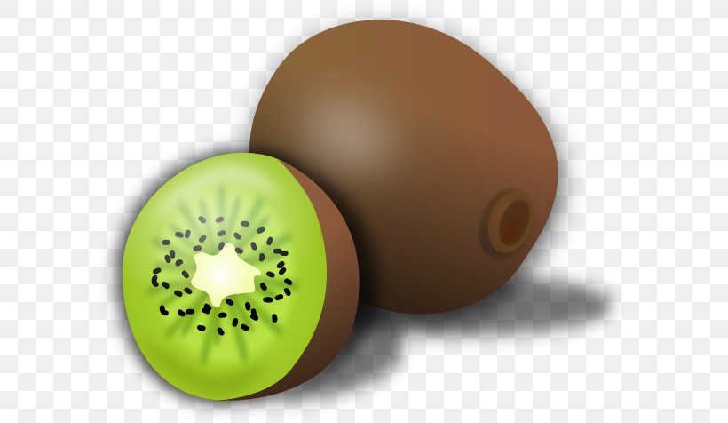 Kiwifruit Clip Art, PNG, 600x476px, Kiwifruit, Computer, Drawing, Free Content, Fruit Download Free