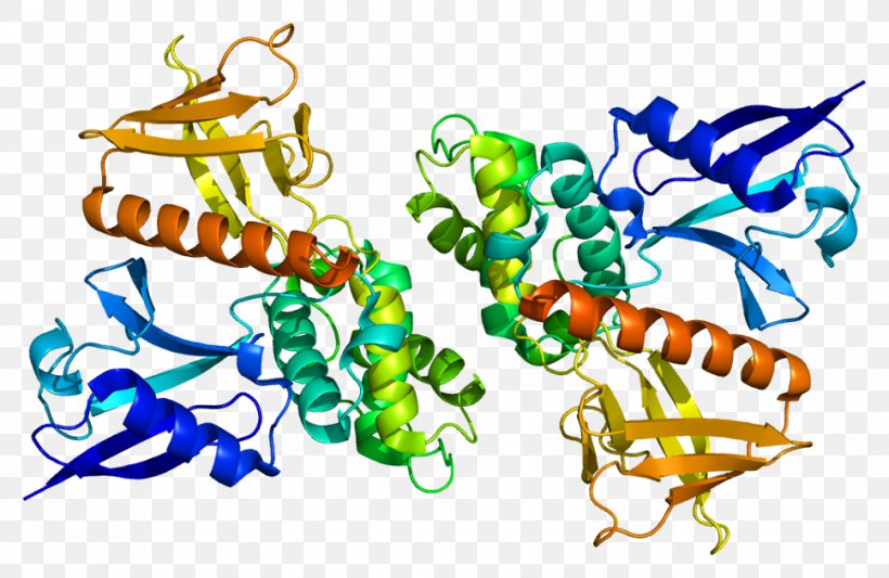 Merlin Neurofibromatosis Type II ERM Protein Family Tumor Suppressor Gene, PNG, 968x630px, Merlin, Artwork, Cell, Chromosome 22, Cytoskeleton Download Free