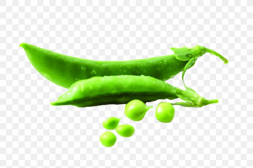 Pea Bean Vegetable Food Legume, PNG, 2180x1453px, Pea, Bean, Disease, Food, Fruit Download Free